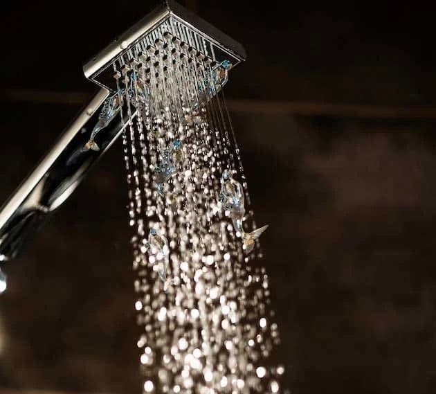 contemporary-showerhead