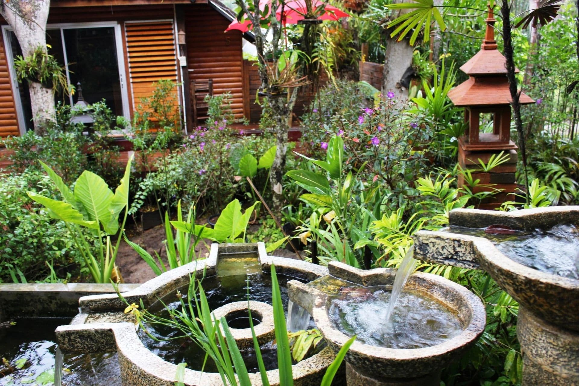 water-feature-backyard-reno